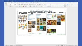 thumbnail of medium All About My Teacher