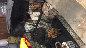 thumbnail of medium Get Over It