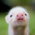 avatar of user <p>Carys</p>