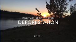 Why we should end deforestation