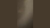 thumbnail of medium Ady's artifact